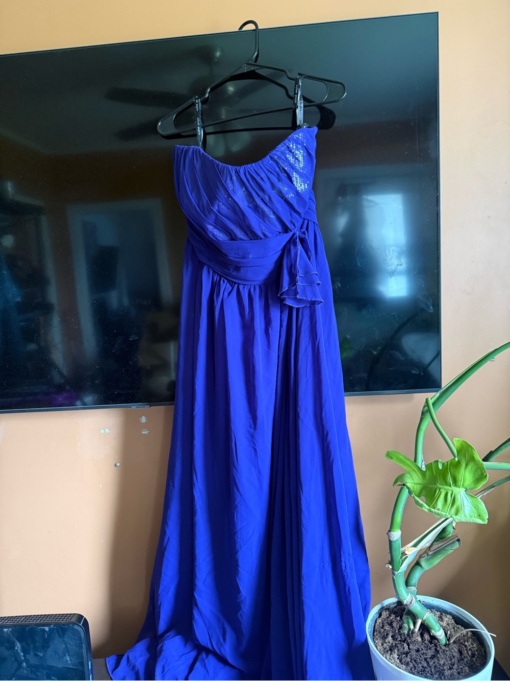 Strapless PURPLE Evening Gown